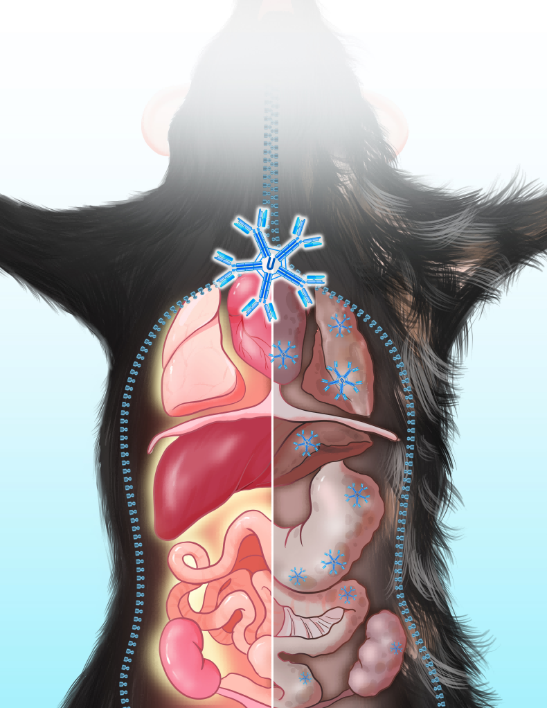 电子游戏app下载安装
