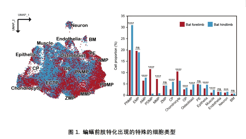 电子游戏app下载安装