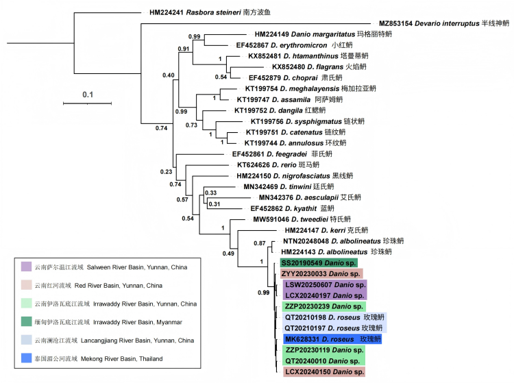 电子游戏app下载安装
