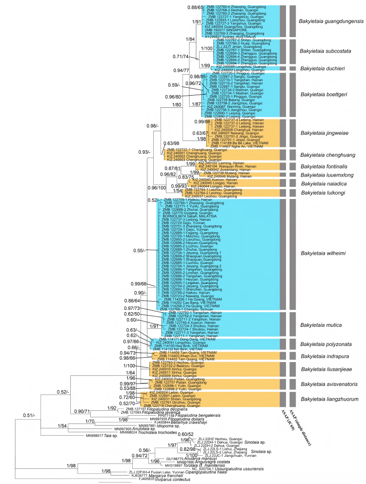 电子游戏app下载安装