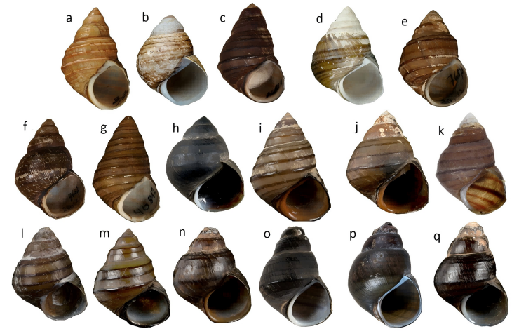 电子游戏app下载安装