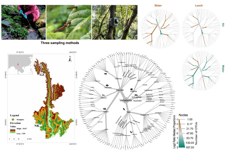 电子游戏app下载安装