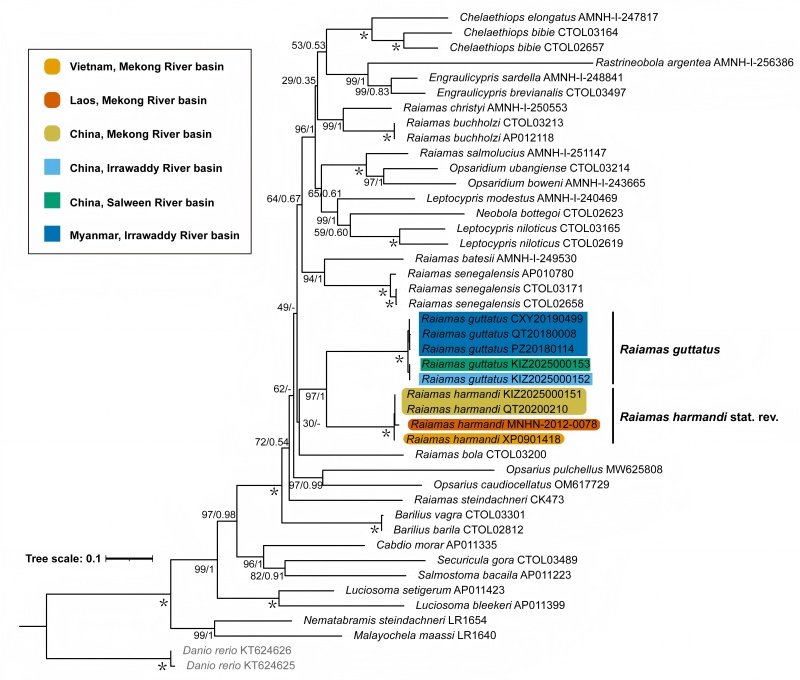 电子游戏app下载安装