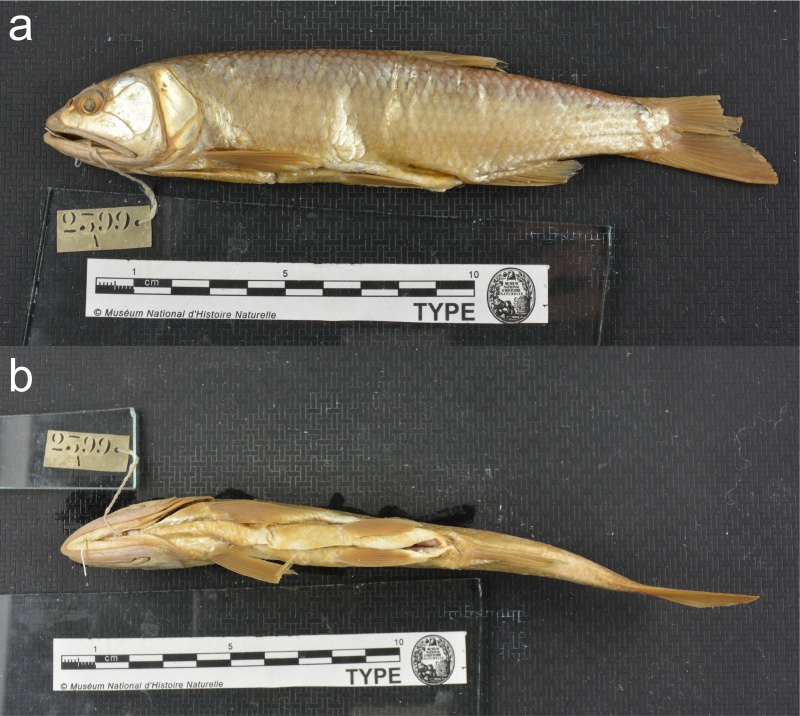 电子游戏app下载安装