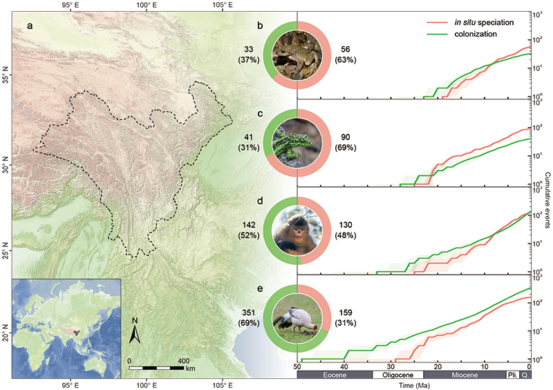 电子游戏app下载安装