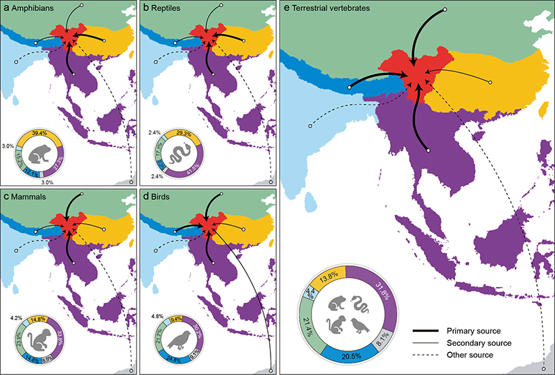 电子游戏app下载安装