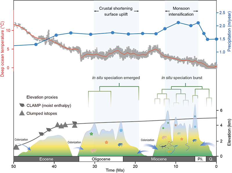 电子游戏app下载安装