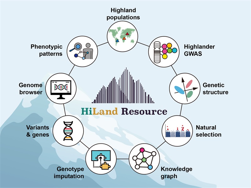 电子游戏app下载安装