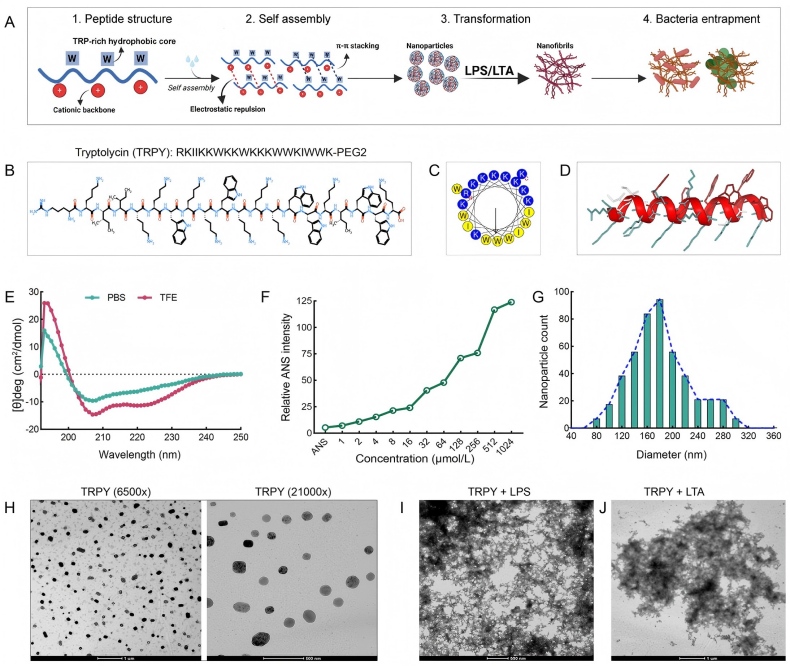 电子游戏app下载安装