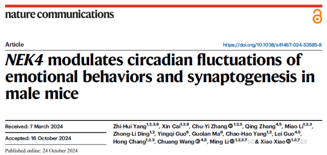 image.png 电子游戏app下载安装