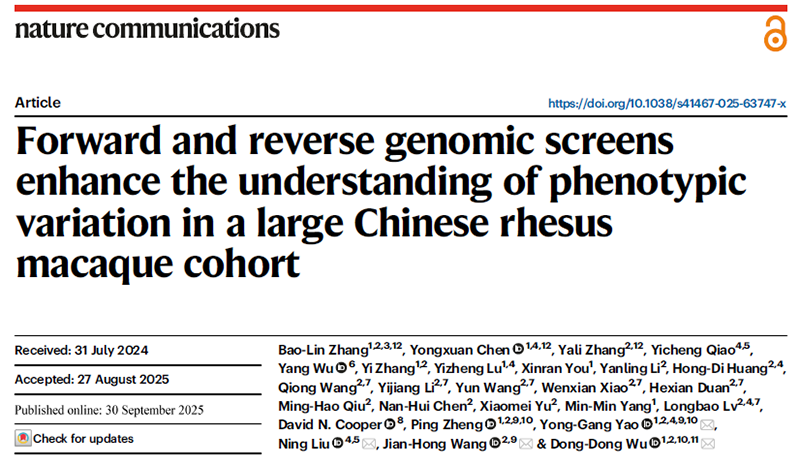 电子游戏app下载安装