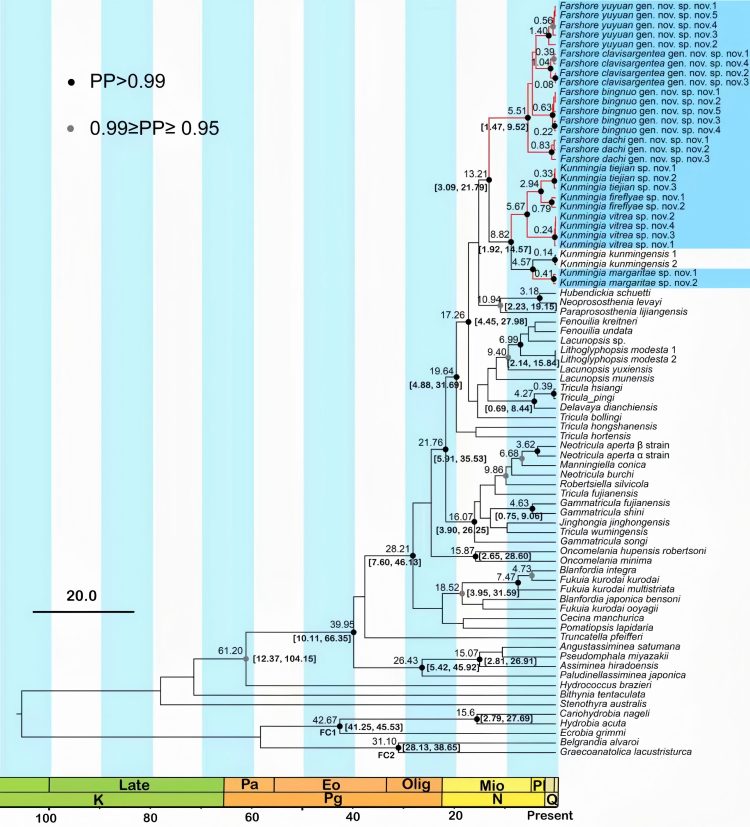 电子游戏app下载安装