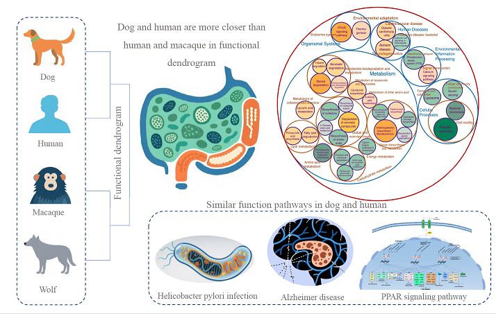电子游戏app下载安装