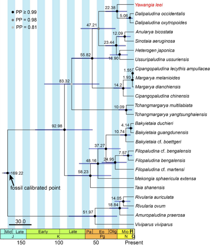 电子游戏app下载安装
