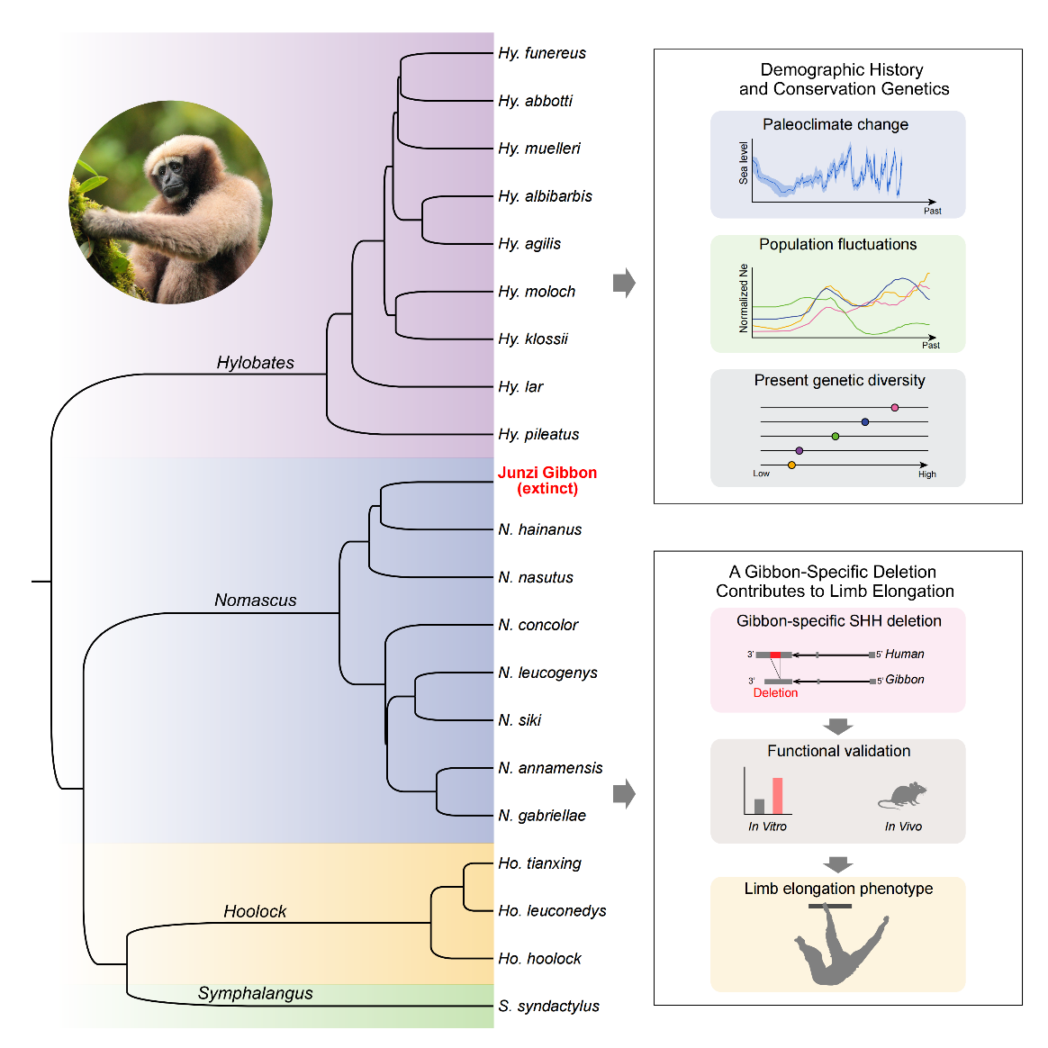电子游戏app下载安装