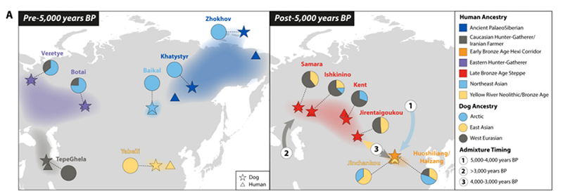 电子游戏app下载安装
