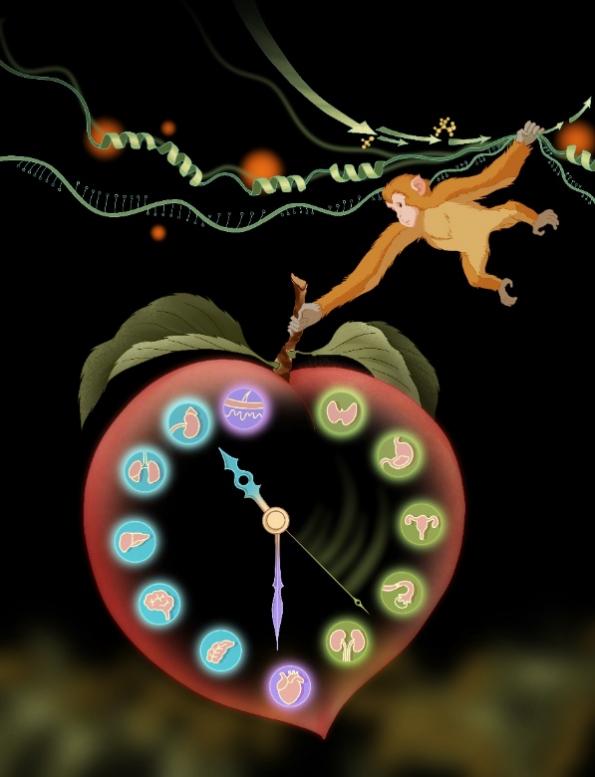 电子游戏app下载安装