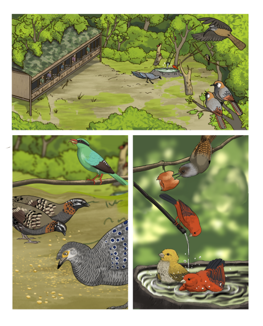 电子游戏app下载安装