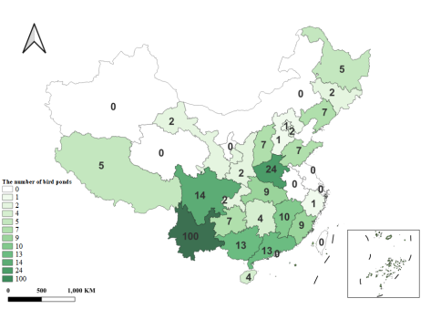 电子游戏app下载安装