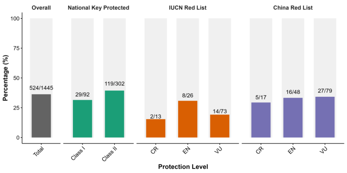 电子游戏app下载安装
