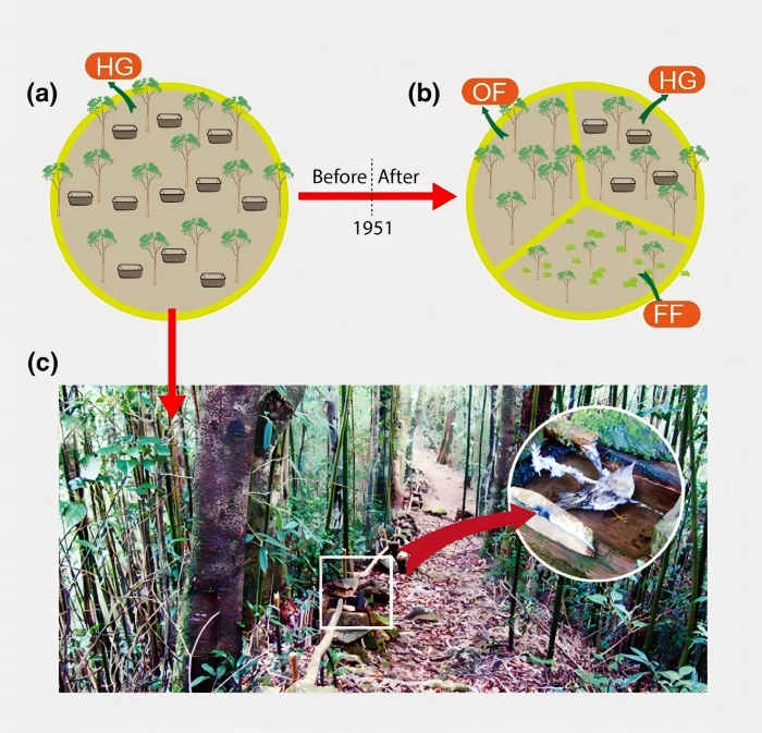电子游戏app下载安装