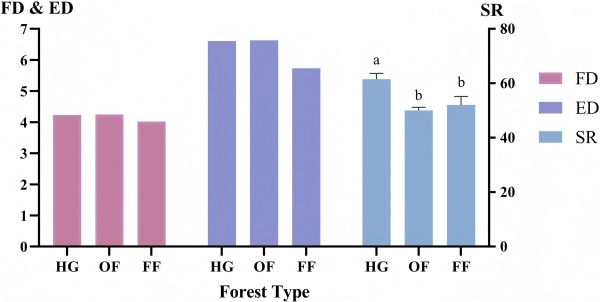 电子游戏app下载安装