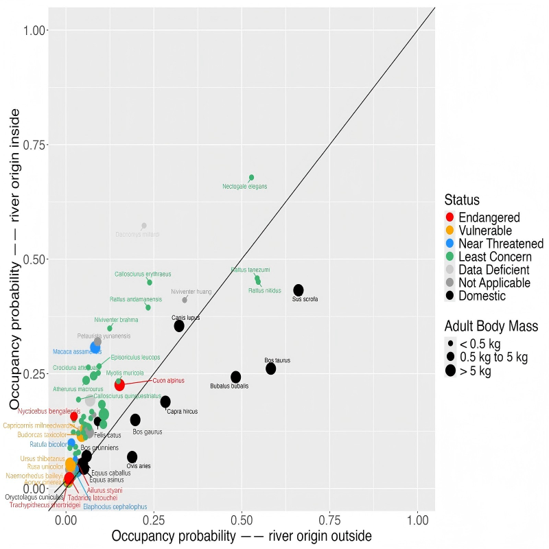 电子游戏app下载安装