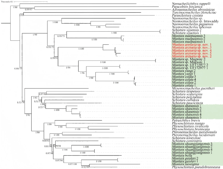 电子游戏app下载安装