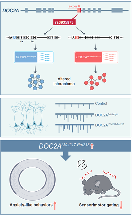 电子游戏app下载安装