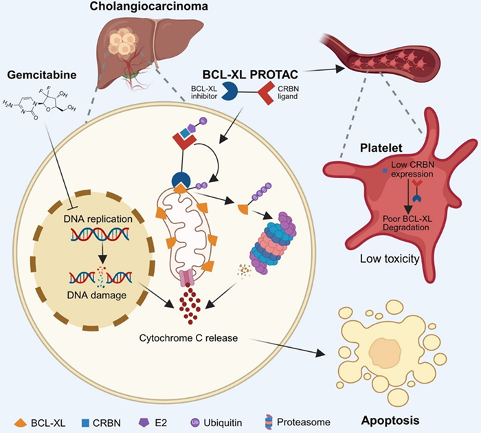 电子游戏app下载安装