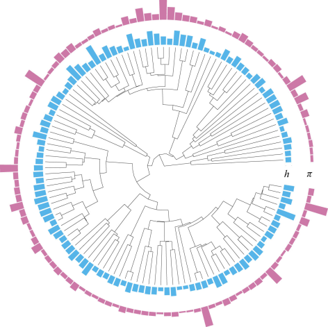 电子游戏app下载安装