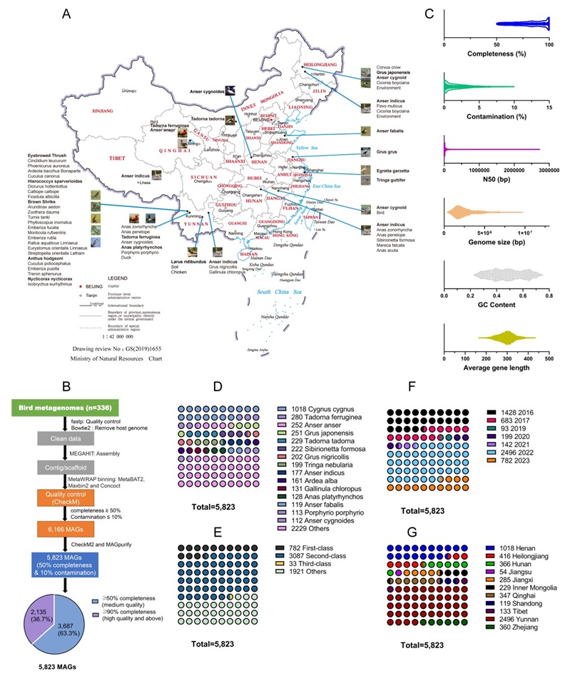 电子游戏app下载安装