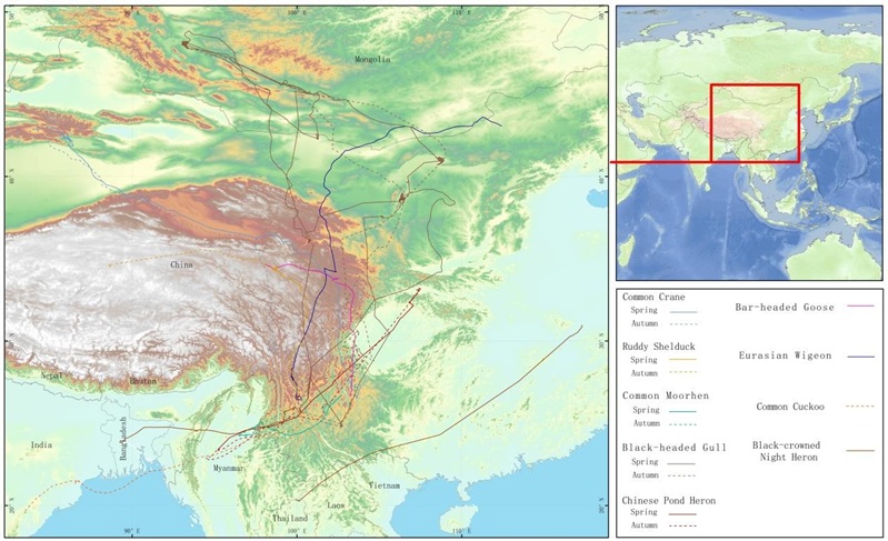 电子游戏app下载安装