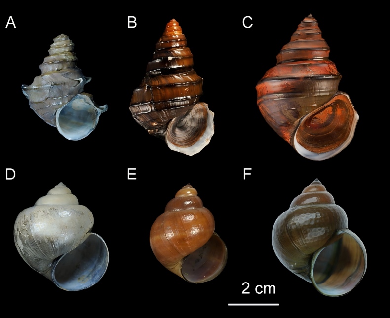 电子游戏app下载安装