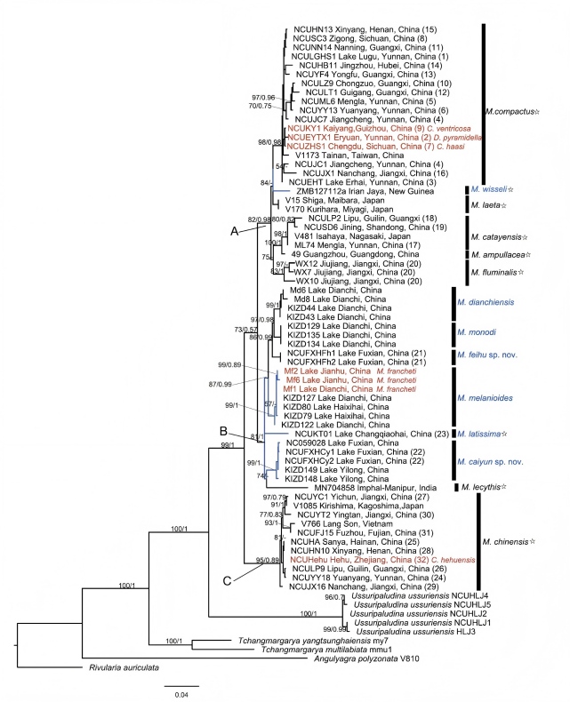 电子游戏app下载安装