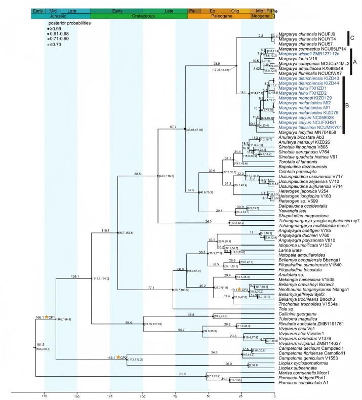 电子游戏app下载安装