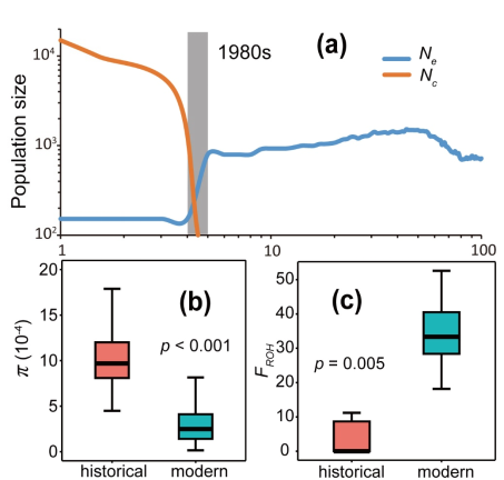 电子游戏app下载安装