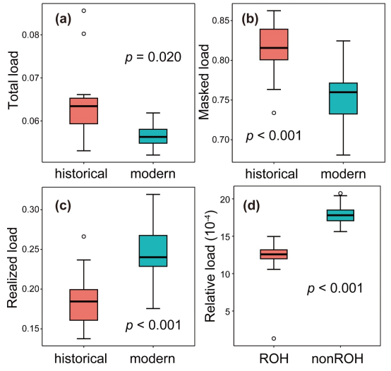 电子游戏app下载安装
