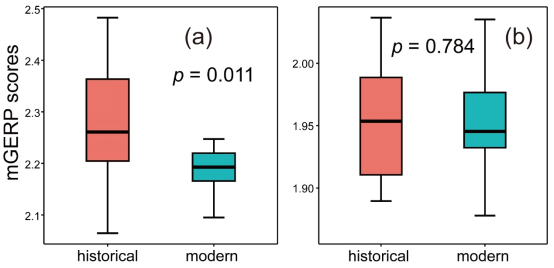电子游戏app下载安装