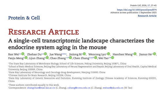 电子游戏app下载安装
