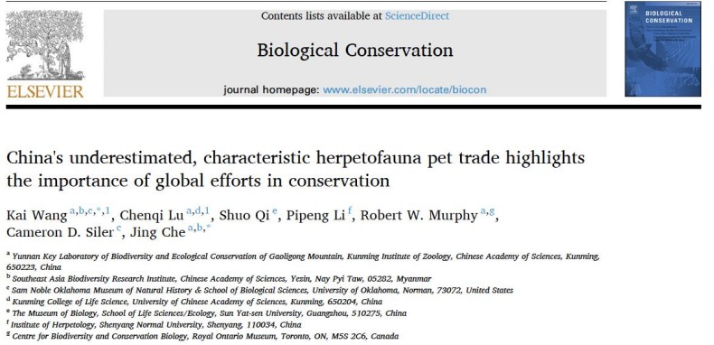 电子游戏app下载安装