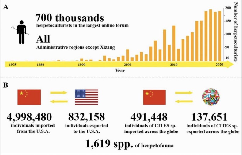 电子游戏app下载安装