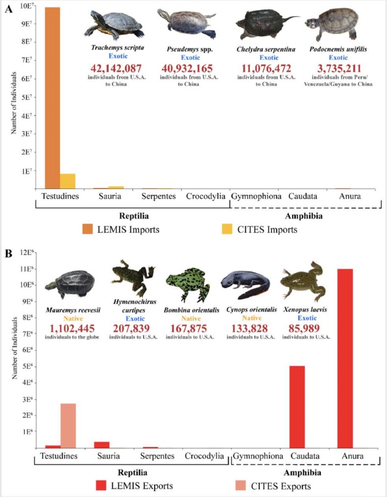 电子游戏app下载安装