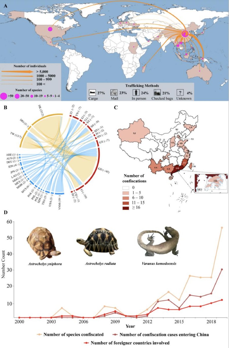 电子游戏app下载安装