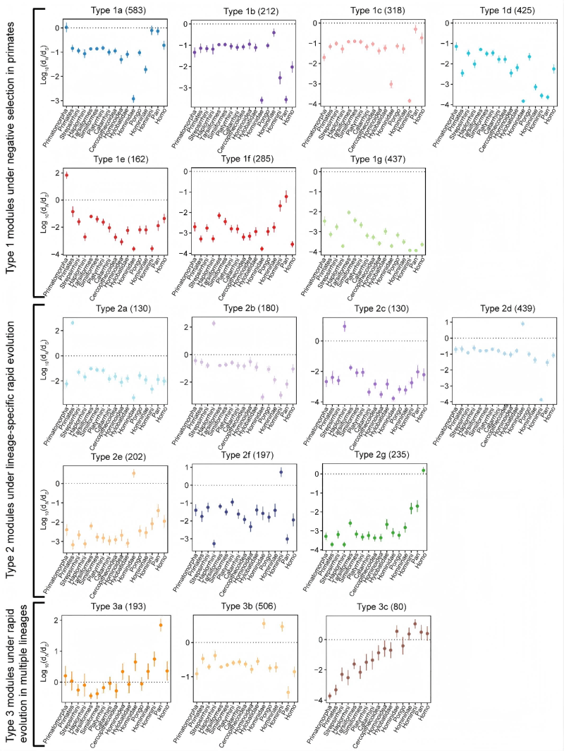 电子游戏app下载安装