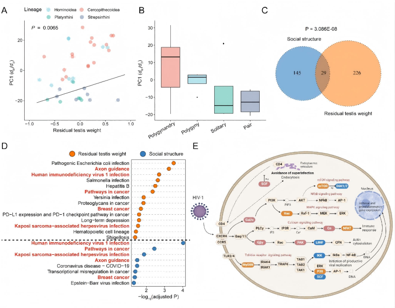 电子游戏app下载安装