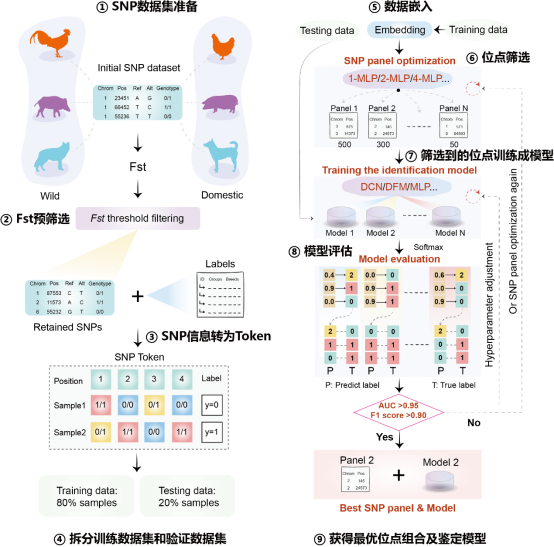 电子游戏app下载安装