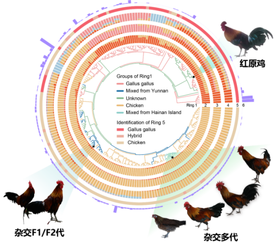 电子游戏app下载安装