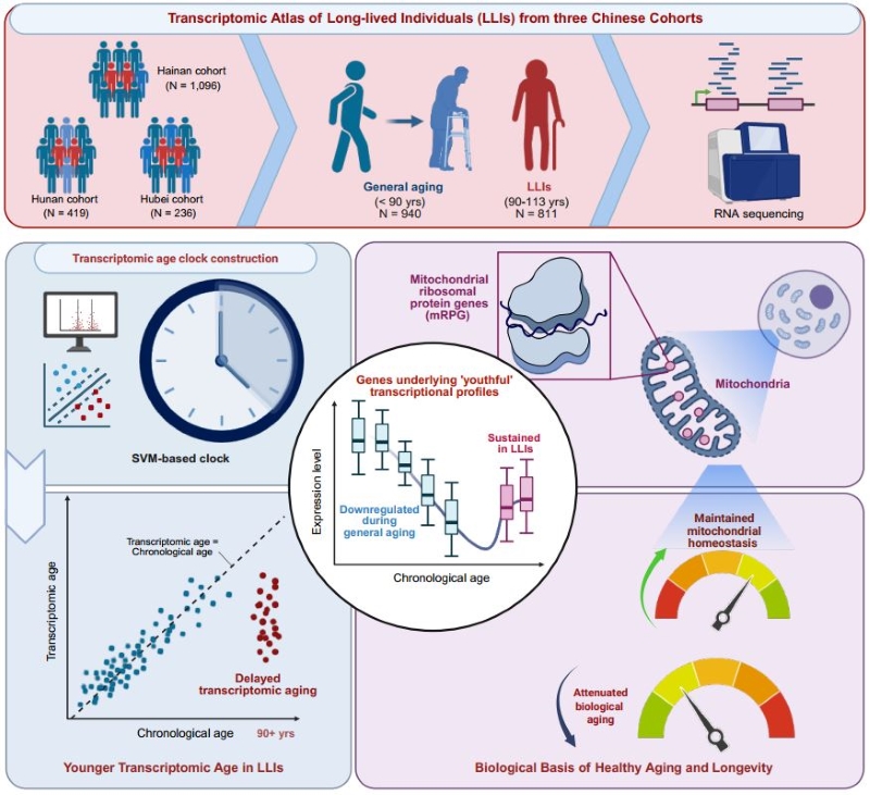 电子游戏app下载安装