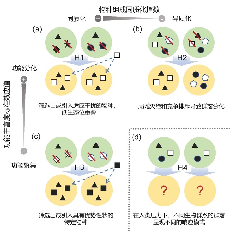 电子游戏app下载安装